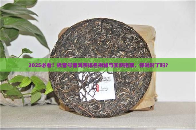 极普号普洱茶排名