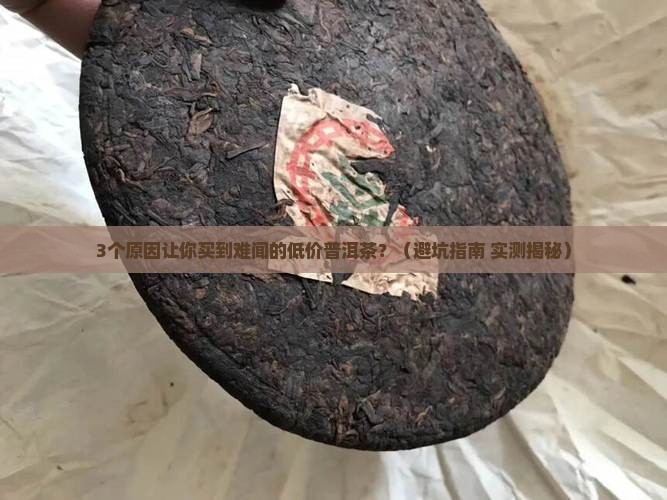 低价的普洱茶味道难闻