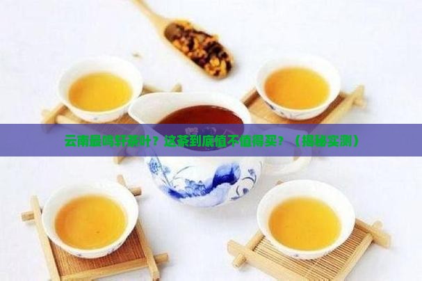 云南最鸣轩茶叶