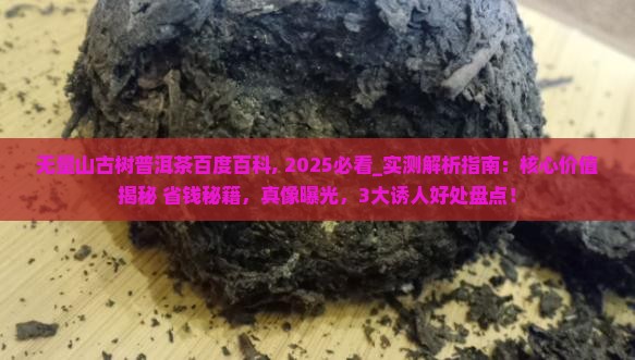 无量山古树普洱茶百度百科