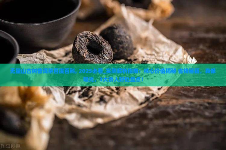 无量山古树普洱茶百度百科