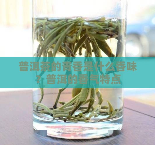普洱茶的青香是什么香味