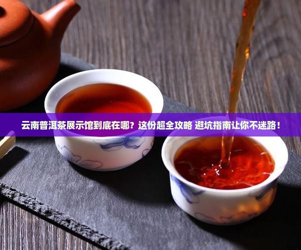 云南普洱茶展示馆地址在哪里