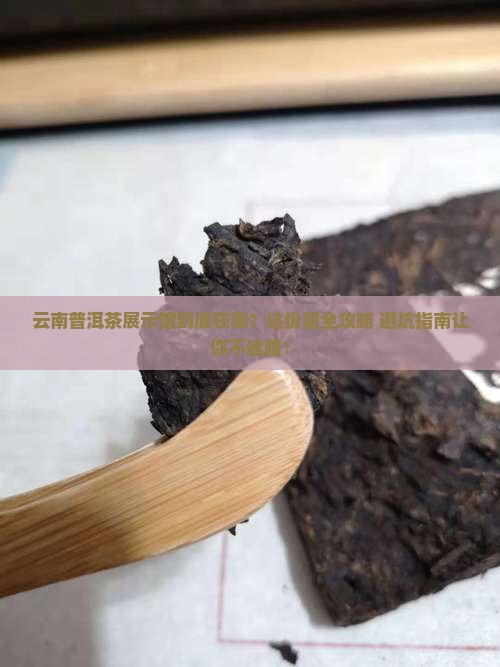 云南普洱茶展示馆地址在哪里