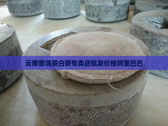 普洱茶白茶专卖店价格