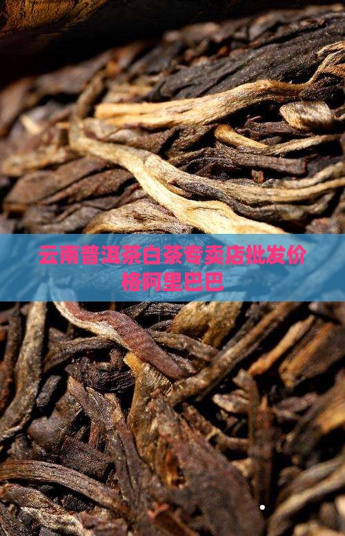 普洱茶白茶专卖店价格