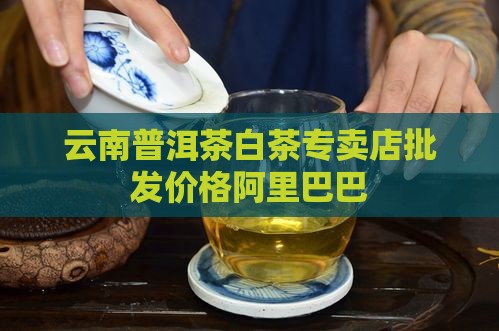 普洱茶白茶专卖店价格