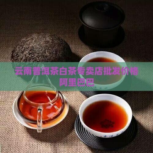 普洱茶白茶专卖店价格