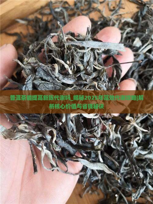 普洱茶能提高新陈代谢吗