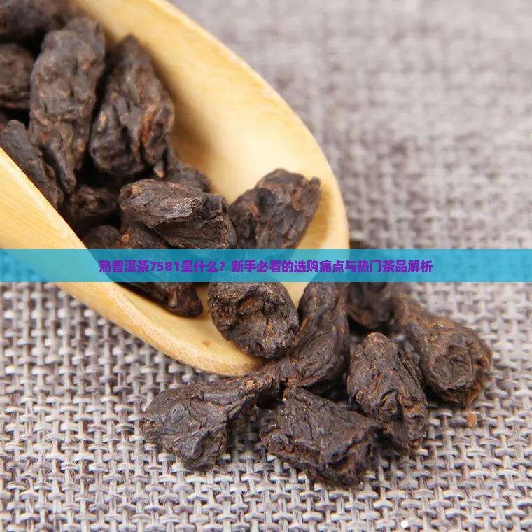 熟普洱茶7581啥意思