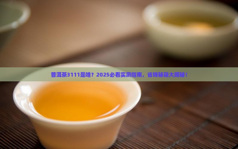 普洱茶3111什么意思