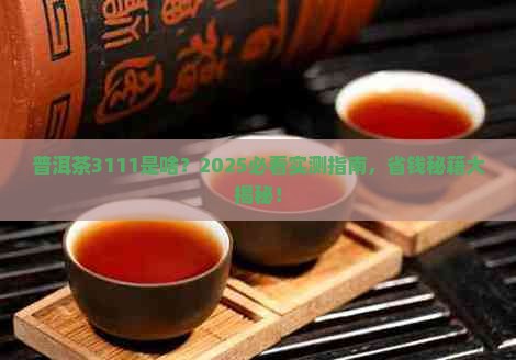 普洱茶3111什么意思