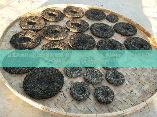 普洱茶为什么这么值得购买藏