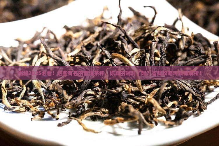 有名的普洱茶种