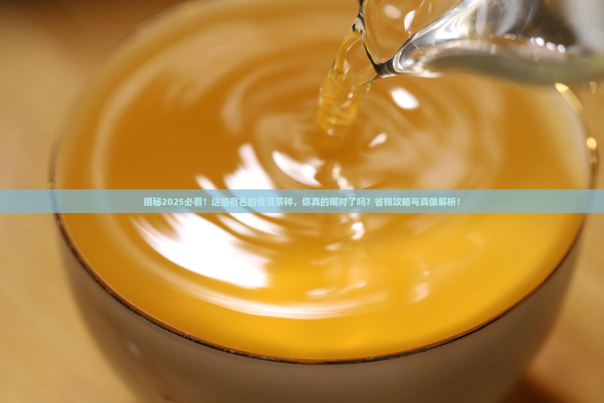 有名的普洱茶种