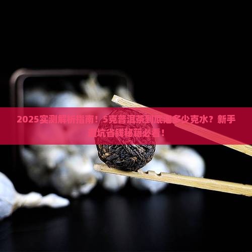 5克普洱茶泡多少克水