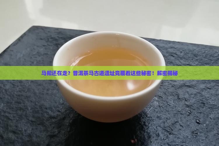 普洱茶马古道马帮遗址