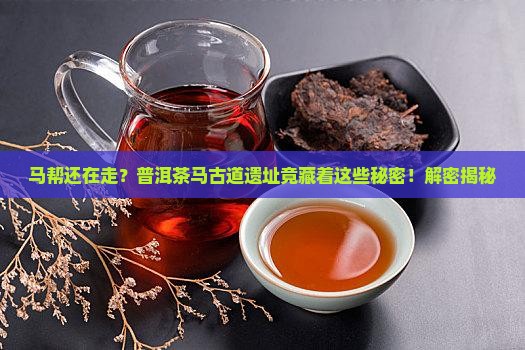 普洱茶马古道马帮遗址