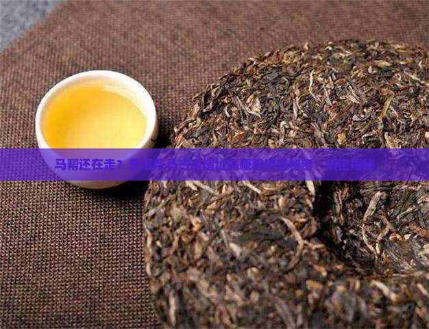 普洱茶马古道马帮遗址