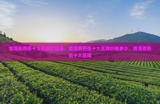 普洱茶熟茶十大名牌价格