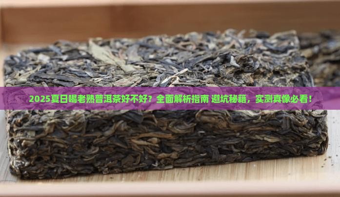 夏日喝老熟普洱茶好不好