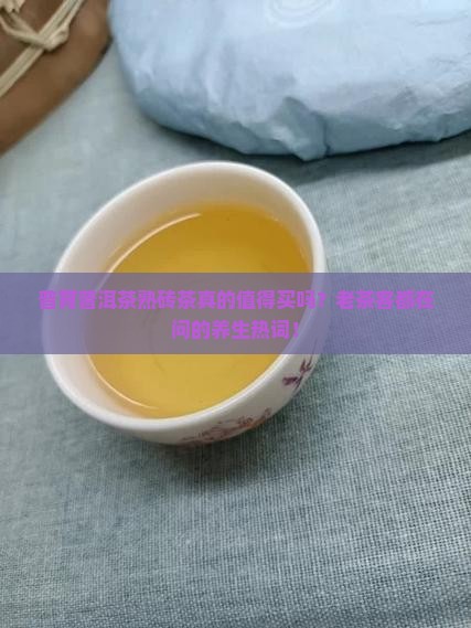 普育普洱茶熟砖茶