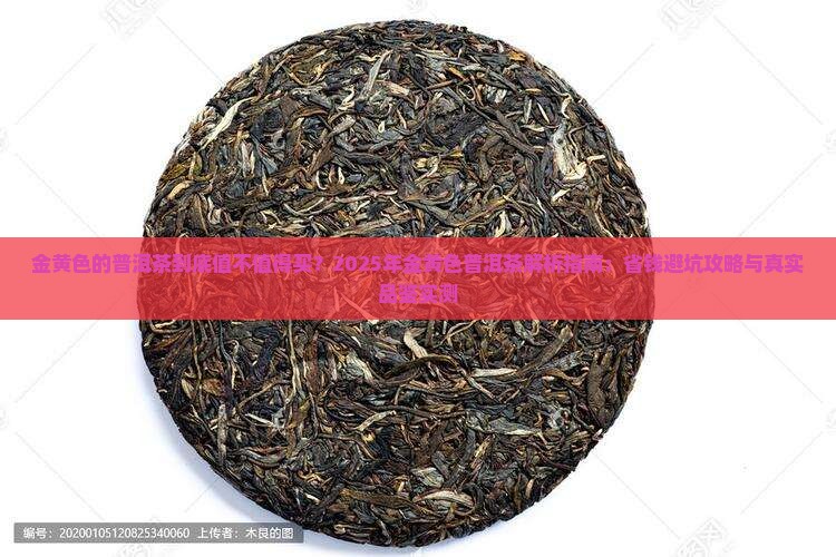 金黄色的普洱茶