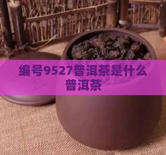 编号9527普洱茶