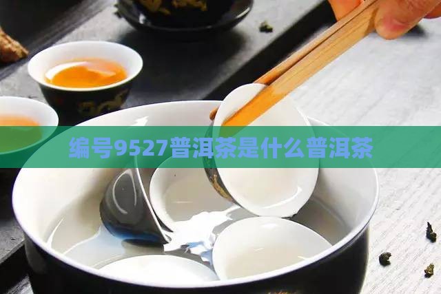 编号9527普洱茶