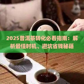 普洱茶什么时候转化