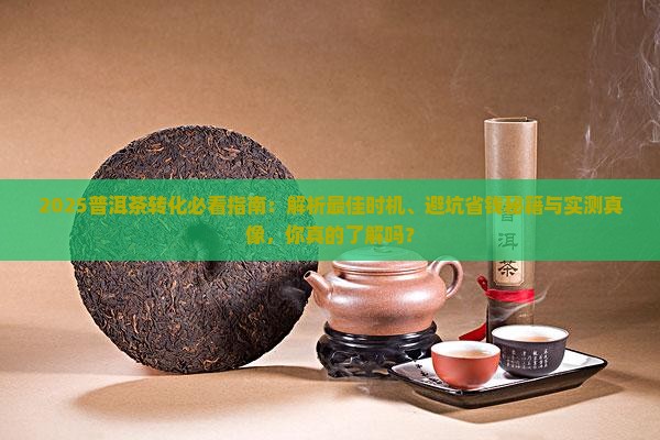 普洱茶什么时候转化