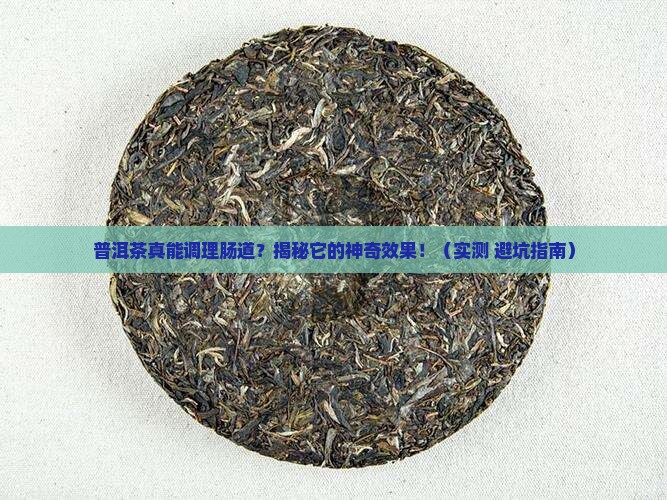 普洱茶可以调节肠道吗为什么