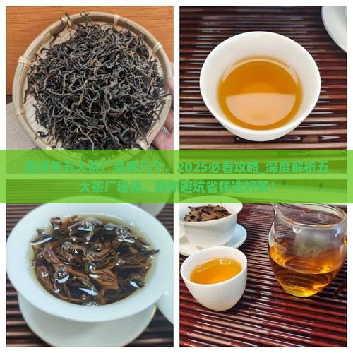 普洱茶五大茶厂是哪几个