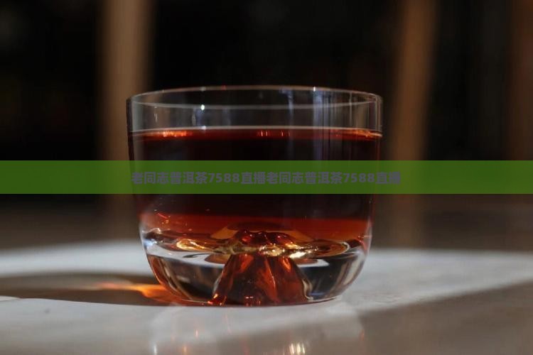 老同志普洱茶7588直播