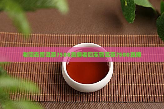 老同志普洱茶7588直播
