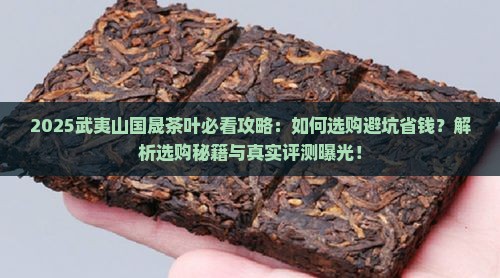 武夷山国晟茶叶