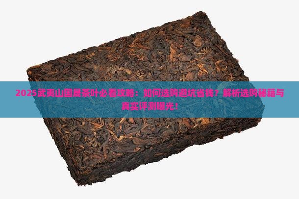 武夷山国晟茶叶