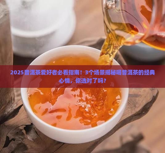 喝普洱茶的经典心情