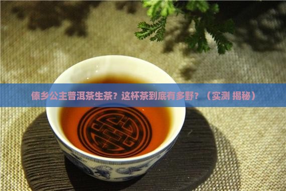 傣乡公主普洱茶生茶