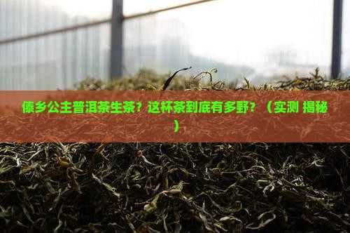 傣乡公主普洱茶生茶