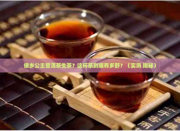 傣乡公主普洱茶生茶