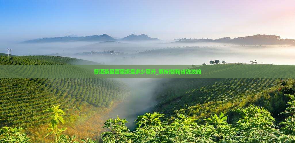 普洱茶最高星级是多少毫升