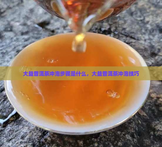 大益普洱茶冲泡步骤是什么