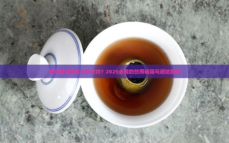 陈年普洱茶如何饮用