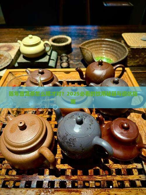 陈年普洱茶如何饮用
