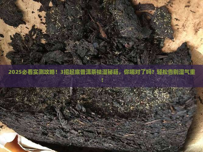 普洱茶如何祛除湿气