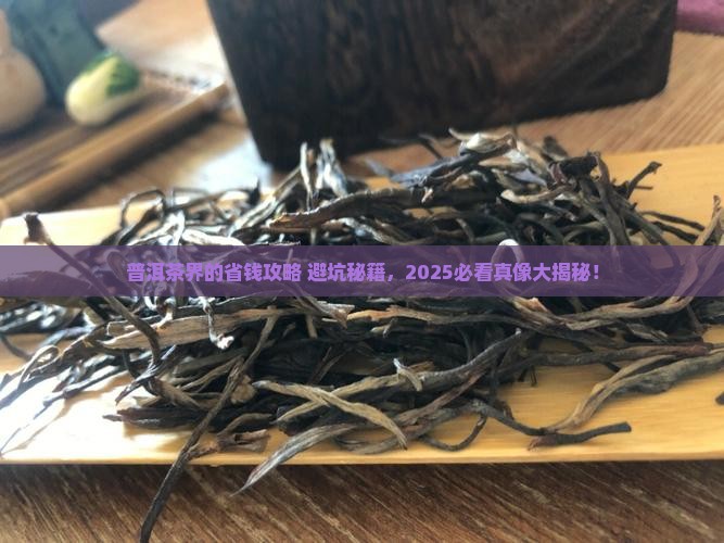 对普洱茶产业发展建议和意见