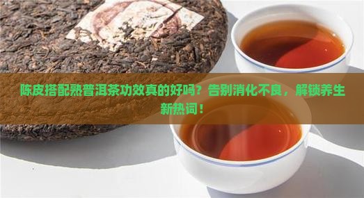 陈皮搭配熟普洱茶功效