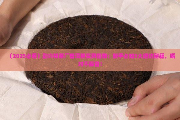 勐兴祥茶厂普洱茶
