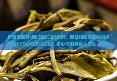普洱茶回甘特别甜好吗能喝吗